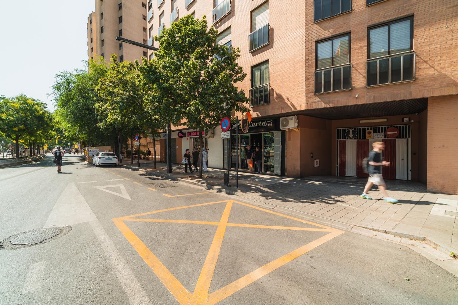 Constitucion Apartment - Free Parking Granada Exteriör bild